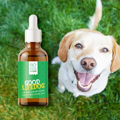 Goodlifedog Complément alimentaire 250 mg CBD Spectre Complet