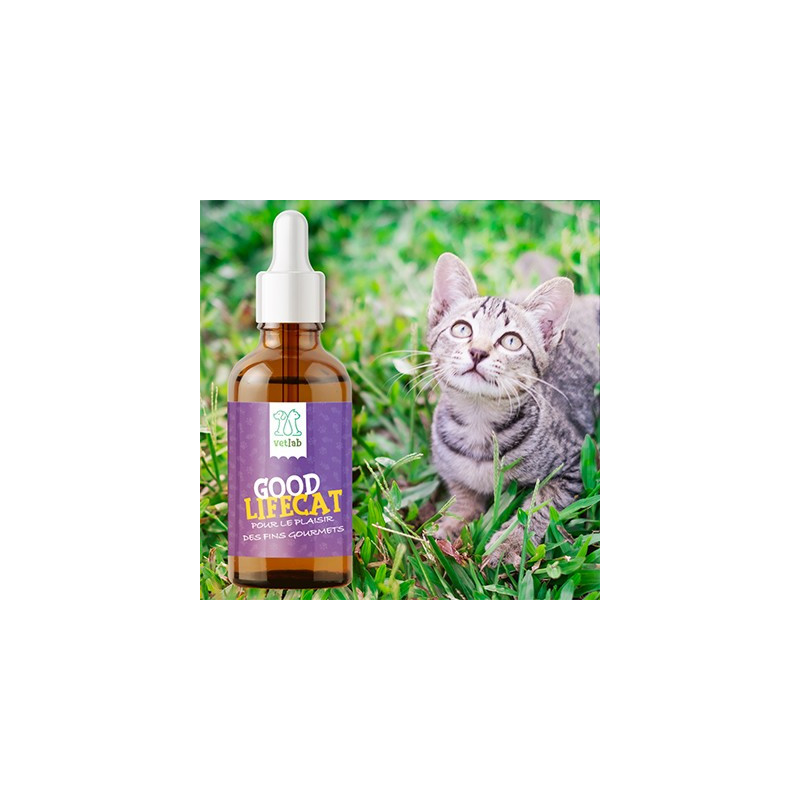 Goodlifecat complément alimentaire 250 mg CBD spectre complet Goodlifecat complément alimentaire 250 mg CBD spectre complet