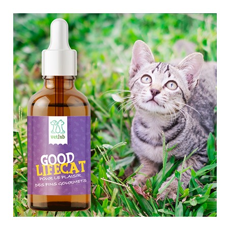 Goodlifecat complément alimentaire 250 mg CBD spectre complet