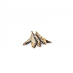 Sprats pour chien