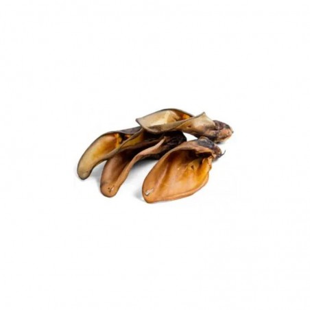 Oreille de bœuf pour chien