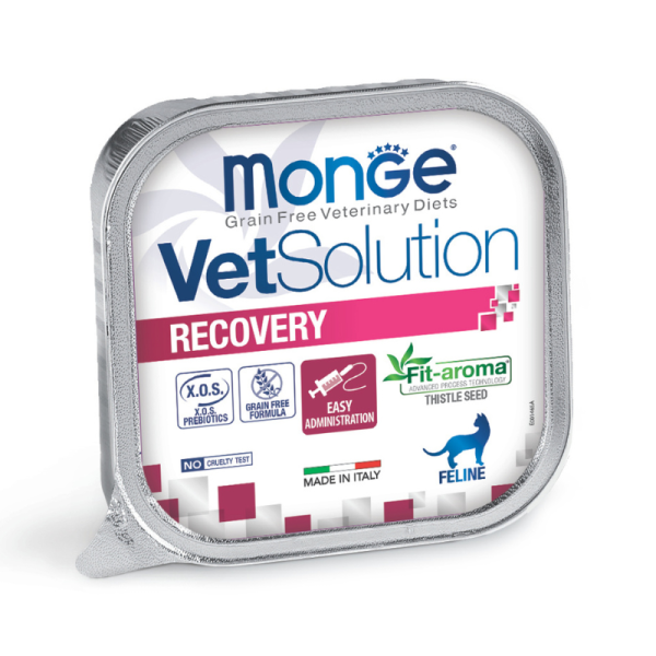 Pâtées Chat VET Solution RECOVERY 24 x 100 grs