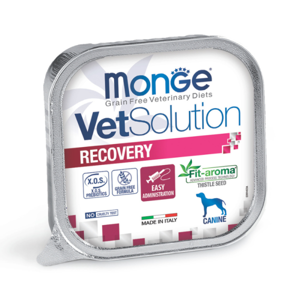 Pâtées Chien VET Solution RECOVERY 24 x 150 grs