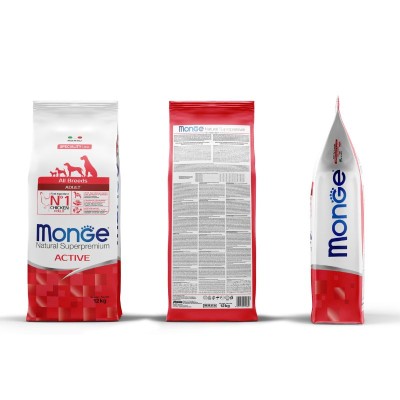 copy of ACTIVE Adulte...