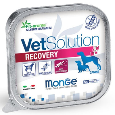 Pâtées Chien VET Solution RECOVERY 6 x 150 grs