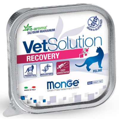 Pâtées Chat VET Solution RECOVERY 24 x 100 grs