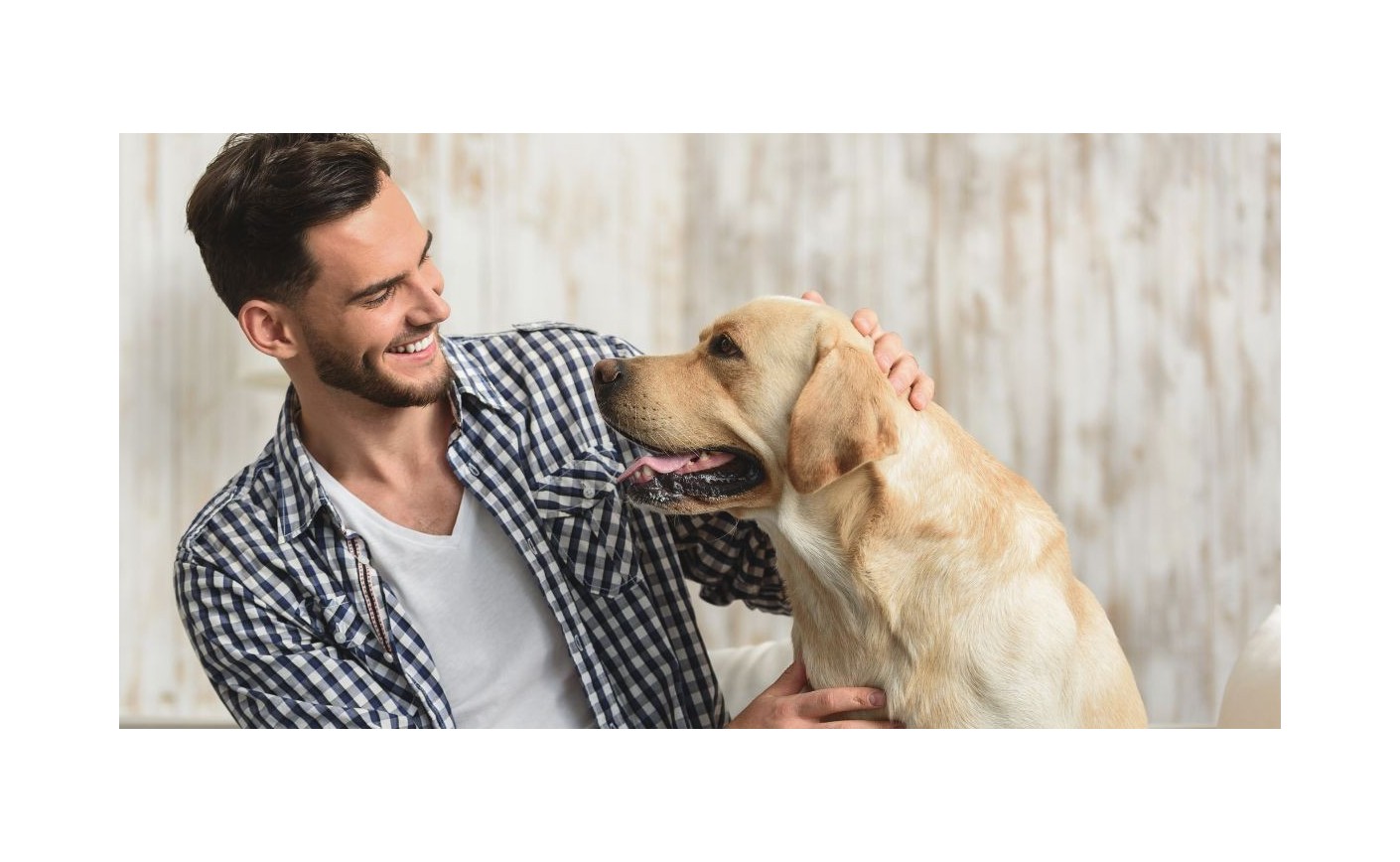 Ver du cœur chez les chiens et les chats : symptômes et prévention