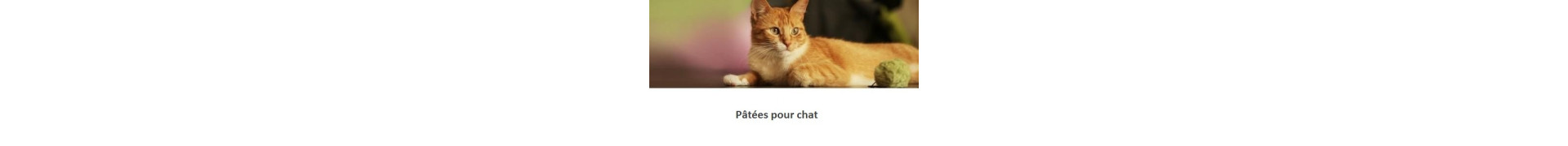 Pâtées pour chat